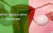Овуляция боль в груди