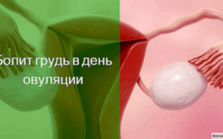 Овуляция боль в груди