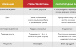 За сколько времени отходят воды до родов