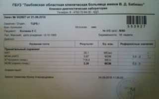 Норма хгч при беременности в мом по неделям