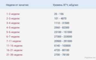 3 неделя беременности хгч