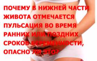 Внизу живота пульсирует при беременности