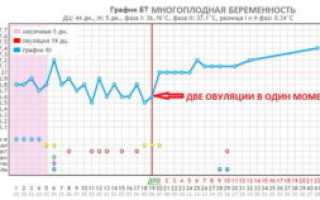 Может ли быть 2 раза в месяц овуляция
