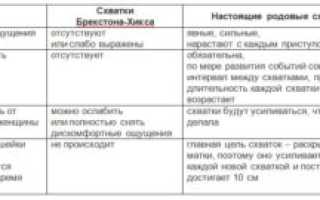 Как отличить схватки от тренировочных