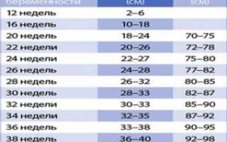 Вдм при беременности таблица