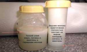 Где можно проверить молоко грудное