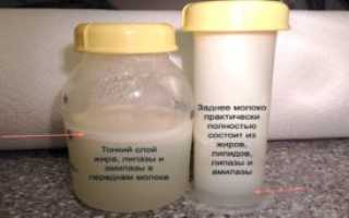 Где можно проверить молоко грудное