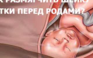 Шейка не готова к родам на 40 неделе